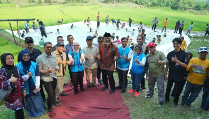 Puluhan Tahun Menanti, Pompanisasi Tenaga Surya Aliri 400 Hektare Sawah di Tanjung Barulak