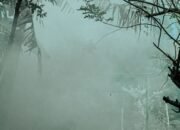 Dampak Kabut Asap, Sekolah di Padang Terapkan PJJ Selama Dua Hari